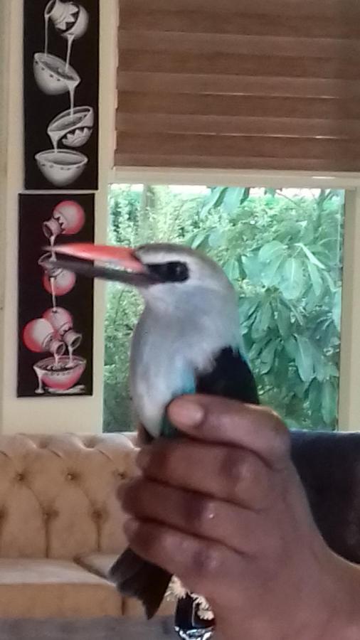 Ikaze B&B Kigali Eksteriør bilde